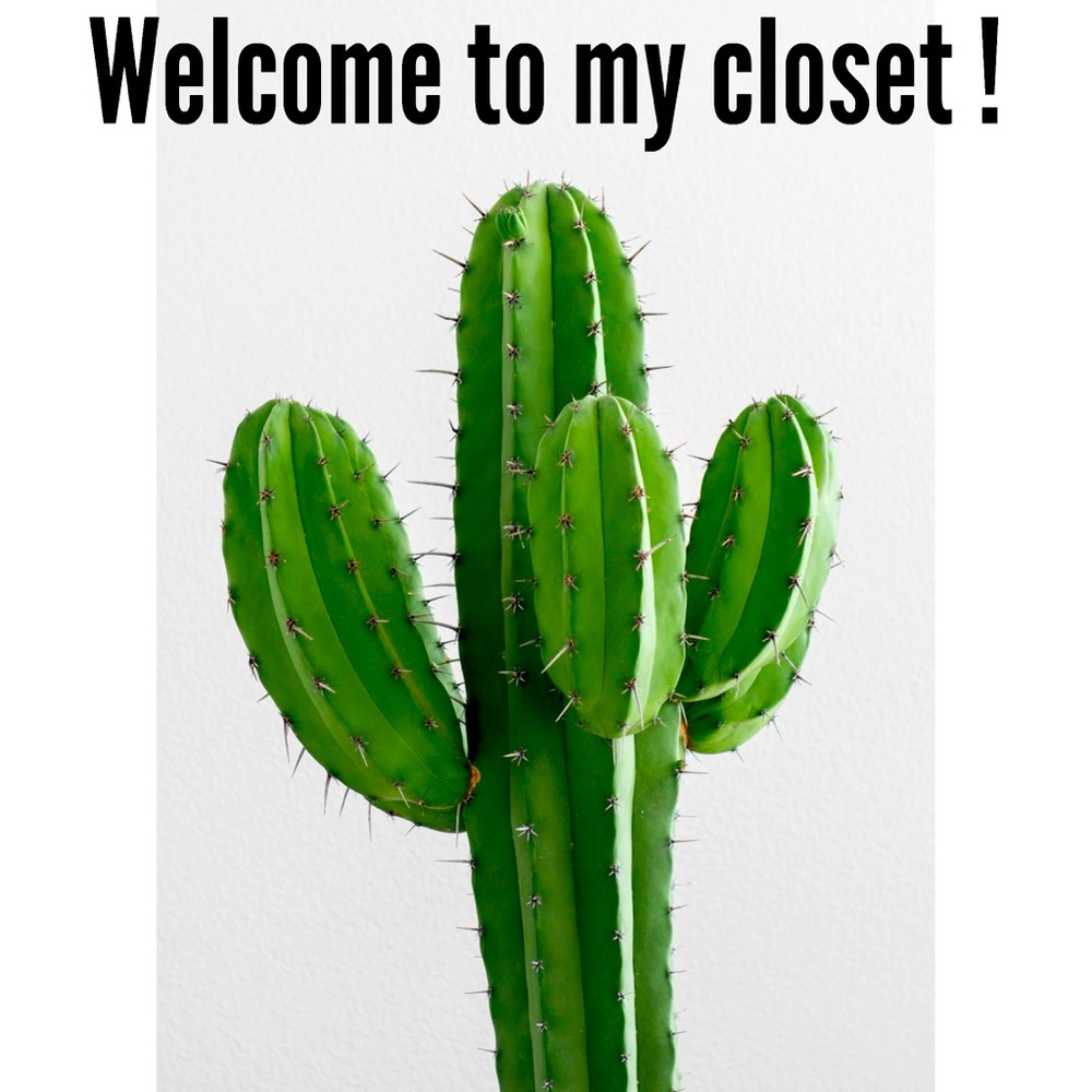 Welcome 🌵❤️